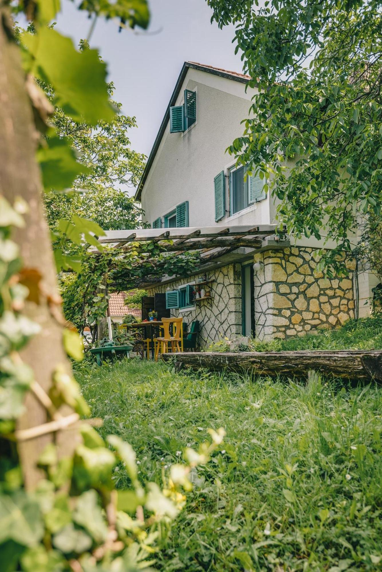 Hillside 2 A Szent Gyoergy-hegy Lankain Prázdninový dům Tapolca